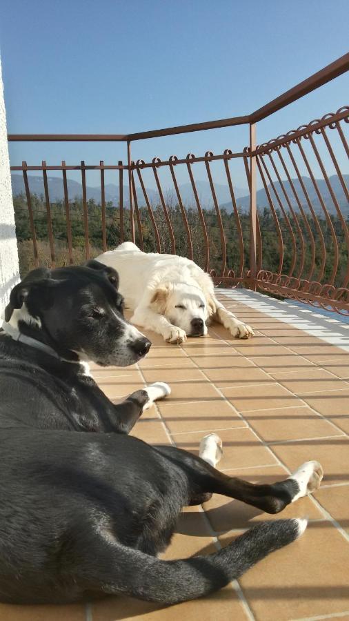 L'Arcadia Bed & Breakfast Giffoni Sei Casali Luaran gambar