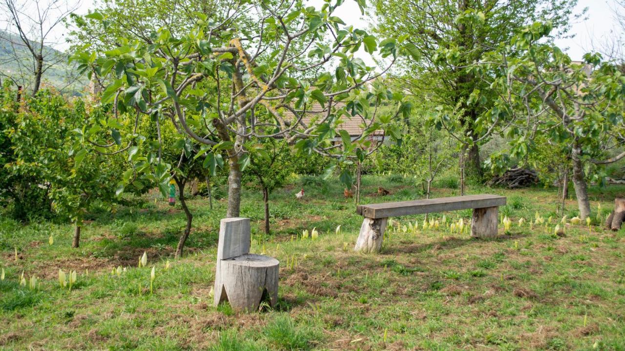 L'Arcadia Bed & Breakfast Giffoni Sei Casali Luaran gambar