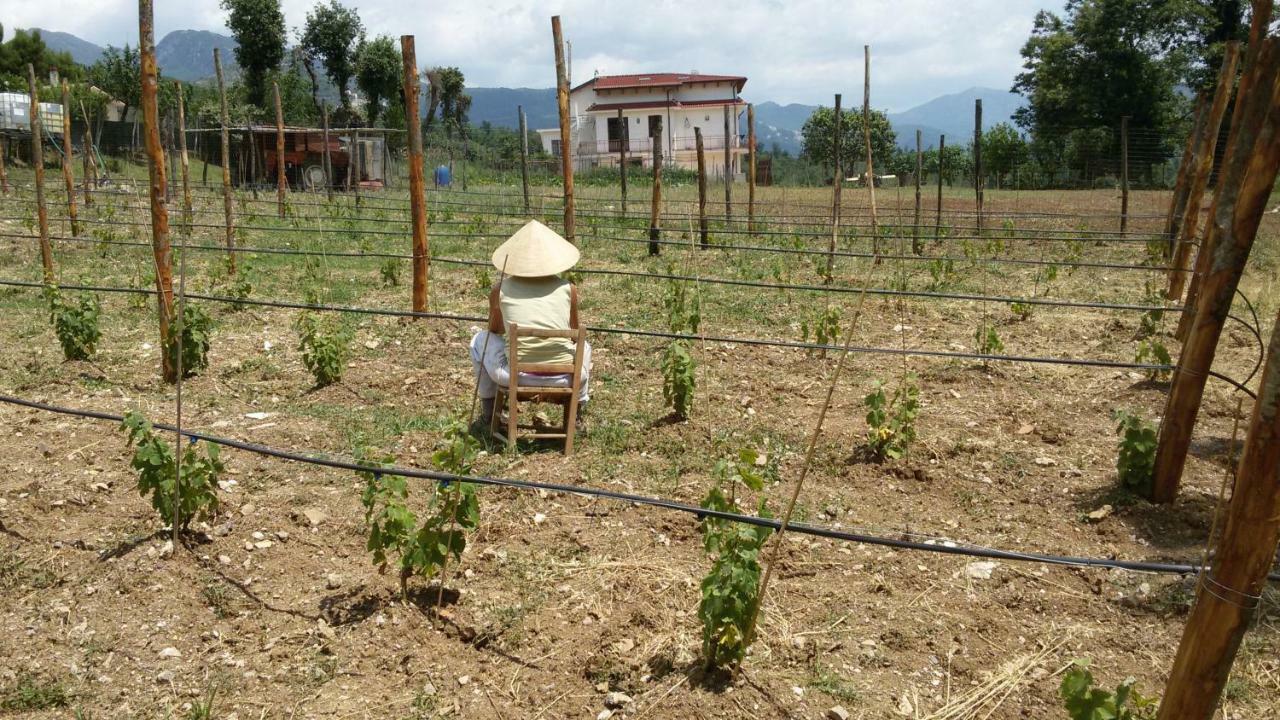 L'Arcadia Bed & Breakfast Giffoni Sei Casali Luaran gambar